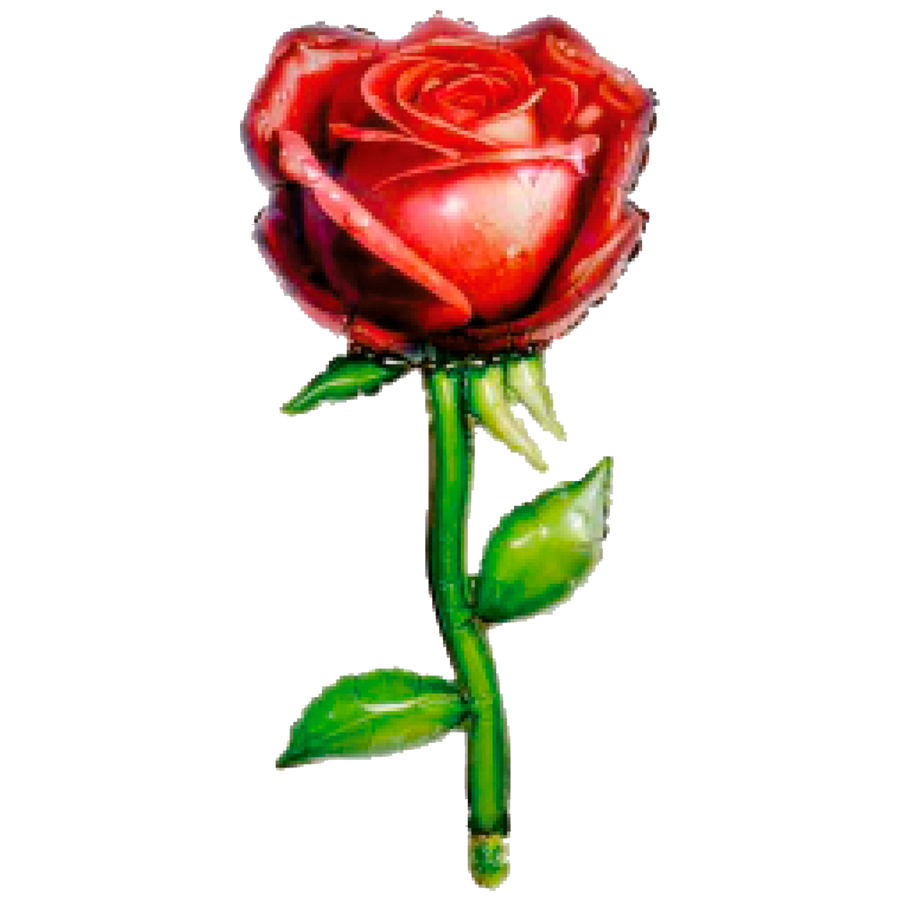 Globo Rosa