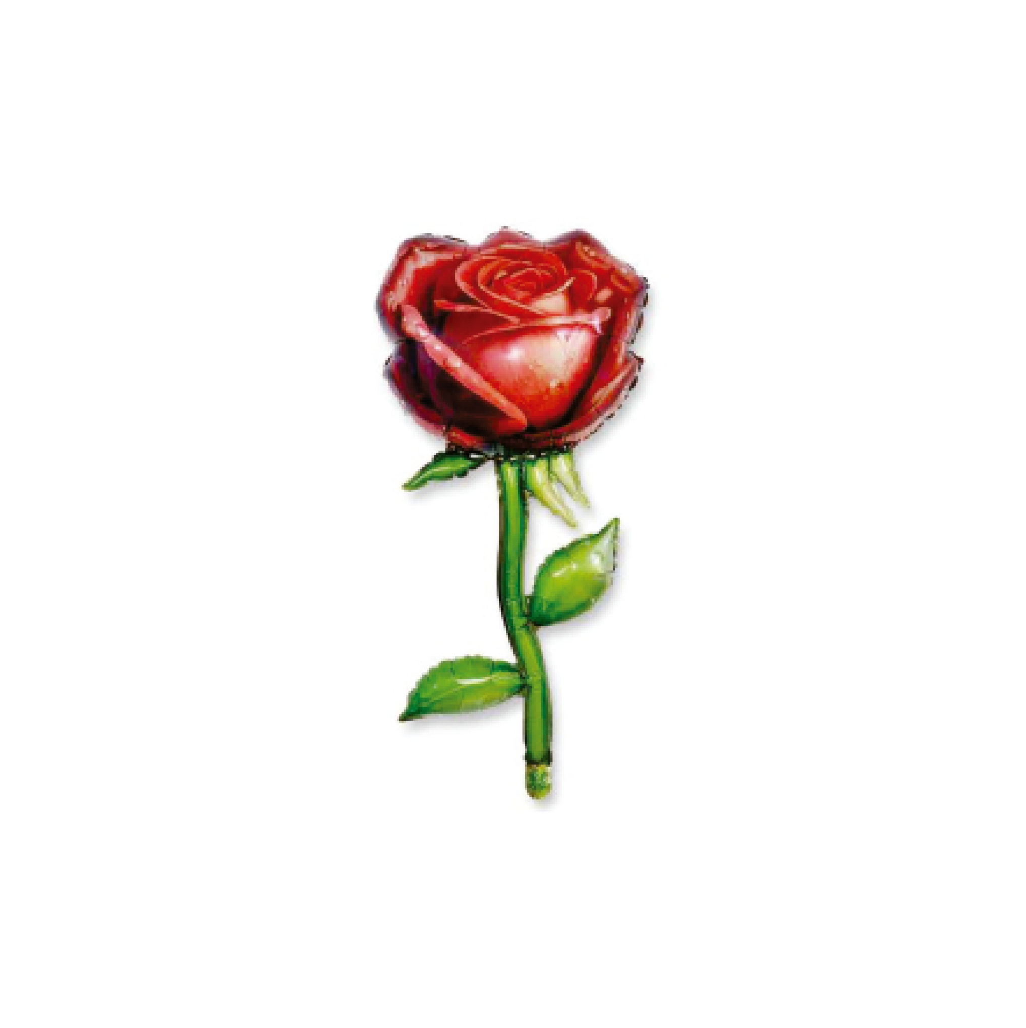 Globo Rosa