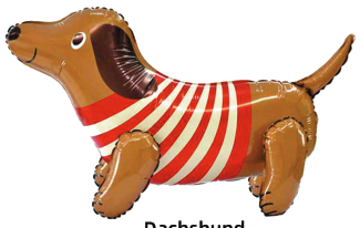 Perrito Caminante